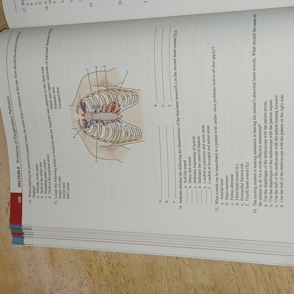 Study Guide for Lewis's Medical-Surgical Nursing 11th Edition - Picture 2 of 5